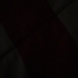 Meet your Posher, Raven